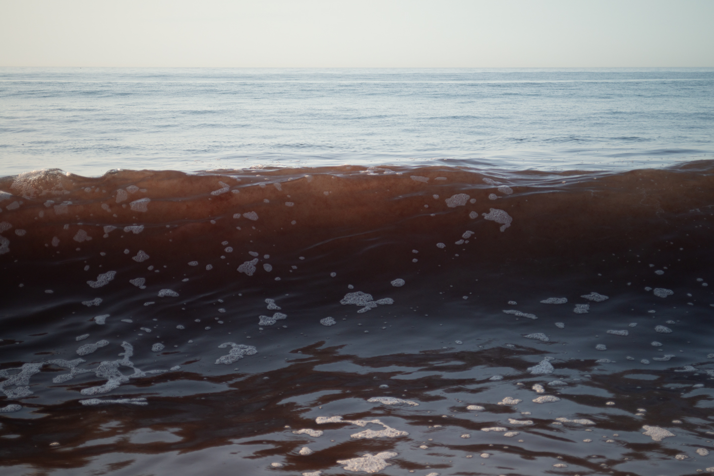 pacific-wave-red