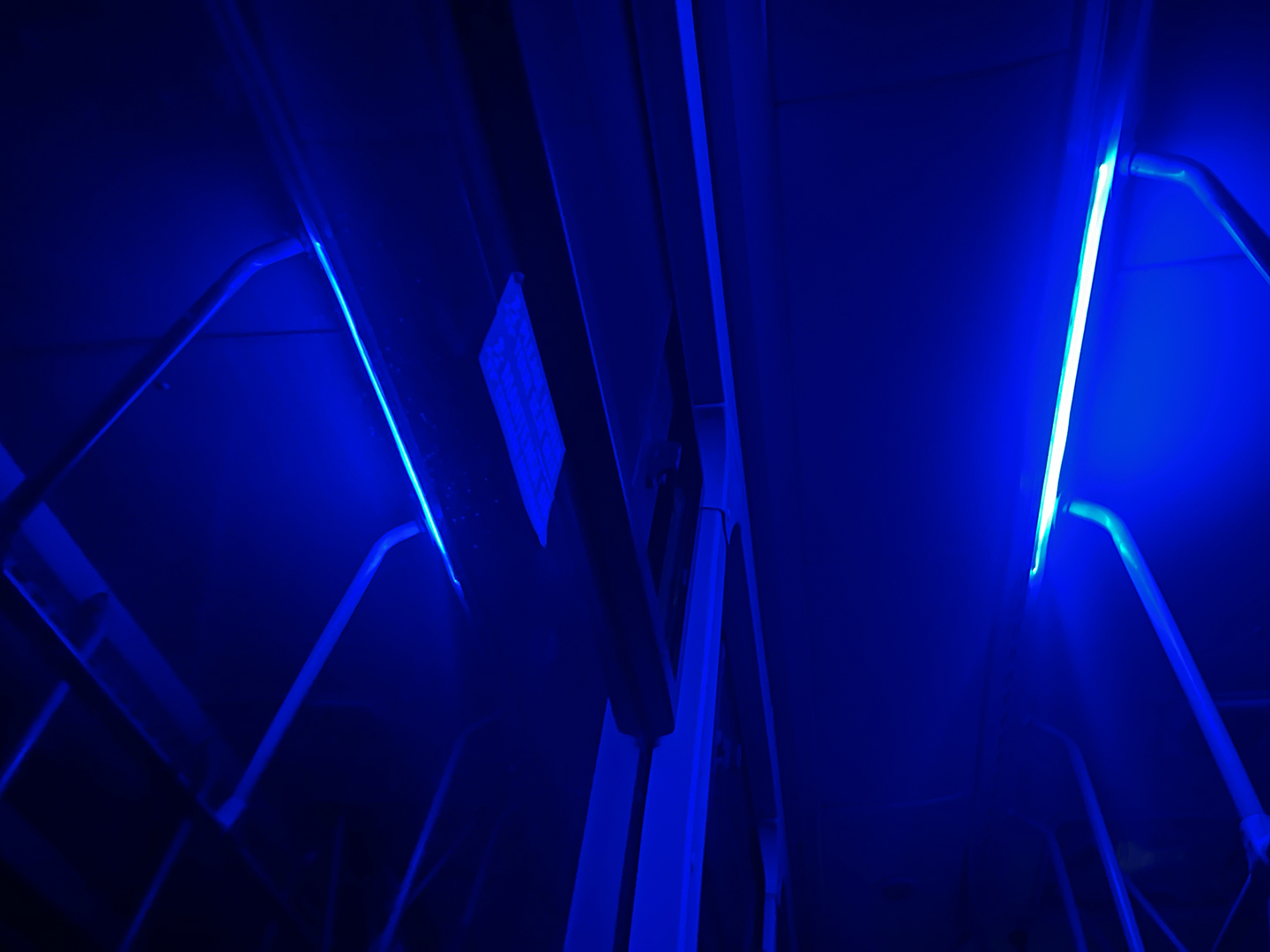 On the road, blue light, 2026