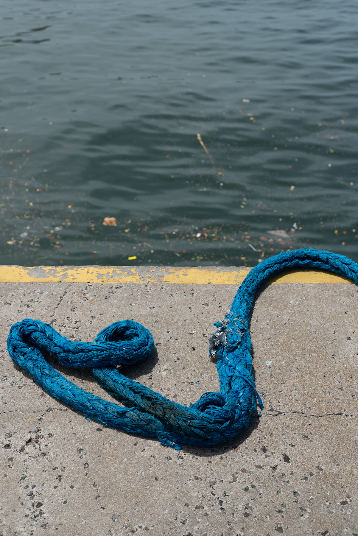 untitled, rope, Still life