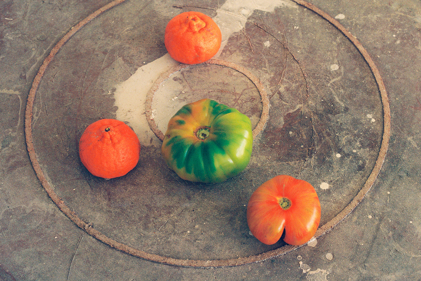 tomato-tangerine-still-life